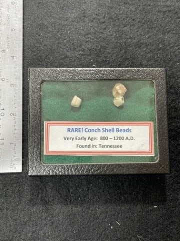 Conch Shell Beads with Riker Frame Indian Artifact Arrowhead (1 of 1)