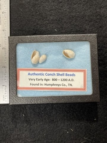Conch Shell Beads with Riker Frame Indian Artifact Arrowhead (1 of 1)