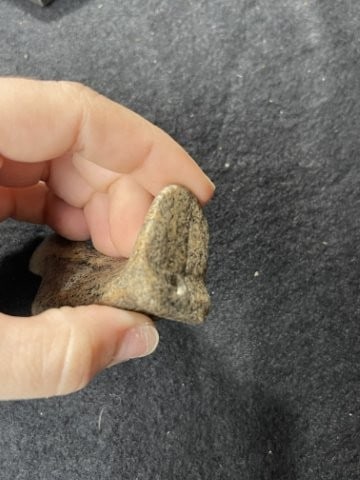 Birdstone Indian Artifact Arrowhead - 4