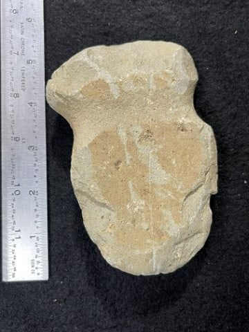 Grooved Axe Indian Artifact Arrowhead: KEY WORDS: INDIAN ARTIFACT ARTIFACTS ARROWHEAD ARROWHEADS NATIVE AMERICAN MISSISSIPPIAN QUAPAW CADDO POTTERY COINS MORGAN DOLLAR PEACE DOLLAR SILVER COINS. All coins have been Sigma tested for