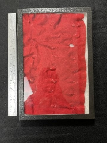 Used Riker Frame: KEY WORDS: INDIAN ARTIFACT ARTIFACTS ARROWHEAD ARROWHEADS NATIVE AMERICAN MISSISSIPPIAN QUAPAW CADDO POTTERY COINS MORGAN DOLLAR PEACE DOLLAR SILVER COINS. All coins have been Sigma tested for