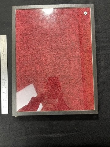 Used Riker Frame: KEY WORDS: INDIAN ARTIFACT ARTIFACTS ARROWHEAD ARROWHEADS NATIVE AMERICAN MISSISSIPPIAN QUAPAW CADDO POTTERY COINS MORGAN DOLLAR PEACE DOLLAR SILVER COINS. All coins have been Sigma tested for authent