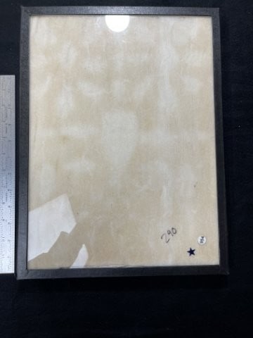 Used Riker Frame: KEY WORDS: INDIAN ARTIFACT ARTIFACTS ARROWHEAD ARROWHEADS NATIVE AMERICAN MISSISSIPPIAN QUAPAW CADDO POTTERY COINS MORGAN DOLLAR PEACE DOLLAR SILVER COINS. All coins have been Sigma tested for authent