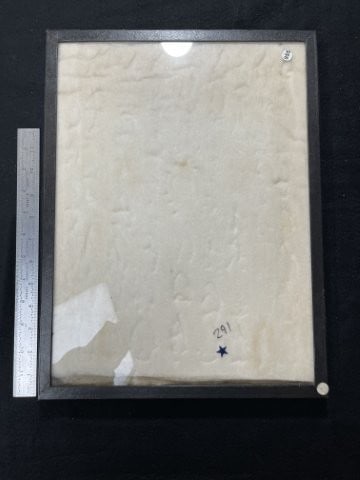 Used Riker Frame: KEY WORDS: INDIAN ARTIFACT ARTIFACTS ARROWHEAD ARROWHEADS NATIVE AMERICAN MISSISSIPPIAN QUAPAW CADDO POTTERY COINS MORGAN DOLLAR PEACE DOLLAR SILVER COINS. All coins have been Sigma tested for