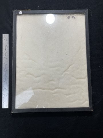 Used Riker Frame: KEY WORDS: INDIAN ARTIFACT ARTIFACTS ARROWHEAD ARROWHEADS NATIVE AMERICAN MISSISSIPPIAN QUAPAW CADDO POTTERY COINS MORGAN DOLLAR PEACE DOLLAR SILVER COINS. All coins have been Sigma tested for authent