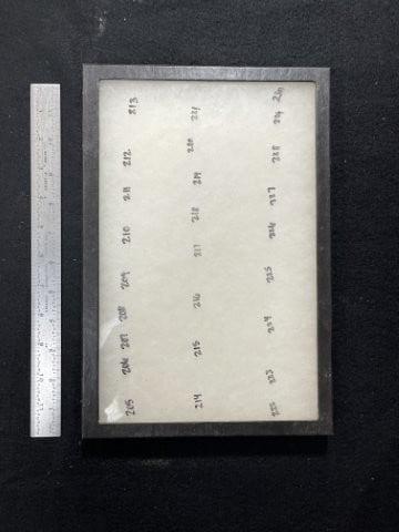 Used Riker Frame: KEY WORDS: INDIAN ARTIFACT ARTIFACTS ARROWHEAD ARROWHEADS NATIVE AMERICAN MISSISSIPPIAN QUAPAW CADDO POTTERY COINS MORGAN DOLLAR PEACE DOLLAR SILVER COINS. All coins have been Sigma tested for