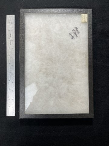 Used Riker Frame: KEY WORDS: INDIAN ARTIFACT ARTIFACTS ARROWHEAD ARROWHEADS NATIVE AMERICAN MISSISSIPPIAN QUAPAW CADDO POTTERY COINS MORGAN DOLLAR PEACE DOLLAR SILVER COINS. All coins have been Sigma tested for