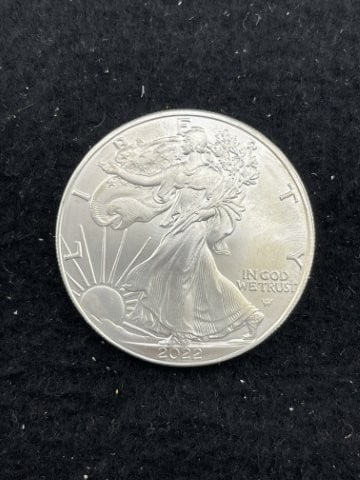 1 Ounce .999 Fine Silver Round Coin: KEY WORDS: INDIAN ARTIFACT ARTIFACTS ARROWHEAD ARROWHEADS NATIVE AMERICAN MISSISSIPPIAN QUAPAW CADDO POTTERY COINS MORGAN DOLLAR PEACE DOLLAR SILVER COINS. All coins have been Sigma tested for authent