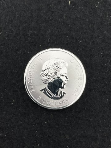 1/2 Ounce .9999 Canadian Fine Silver Round: KEY WORDS: INDIAN ARTIFACT ARTIFACTS ARROWHEAD ARROWHEADS NATIVE AMERICAN MISSISSIPPIAN QUAPAW CADDO POTTERY COINS MORGAN DOLLAR PEACE DOLLAR SILVER COINS. All coins have been Sigma tested for authent
