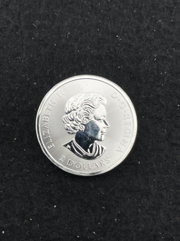1/2 Ounce .9999 Canadian Fine Silver Round: KEY WORDS: INDIAN ARTIFACT ARTIFACTS ARROWHEAD ARROWHEADS NATIVE AMERICAN MISSISSIPPIAN QUAPAW CADDO POTTERY COINS MORGAN DOLLAR PEACE DOLLAR SILVER COINS. All coins have been Sigma tested for authent