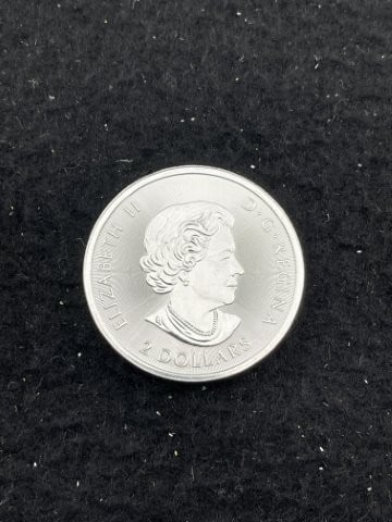 1/2 Ounce .9999 Canadian Fine Silver Round: KEY WORDS: INDIAN ARTIFACT ARTIFACTS ARROWHEAD ARROWHEADS NATIVE AMERICAN MISSISSIPPIAN QUAPAW CADDO POTTERY COINS MORGAN DOLLAR PEACE DOLLAR SILVER COINS. All coins have been Sigma tested for authent