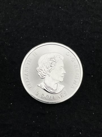1/2 Ounce .9999 Canadian Fine Silver Round: KEY WORDS: INDIAN ARTIFACT ARTIFACTS ARROWHEAD ARROWHEADS NATIVE AMERICAN MISSISSIPPIAN QUAPAW CADDO POTTERY COINS MORGAN DOLLAR PEACE DOLLAR SILVER COINS. All coins have been Sigma tested for authent