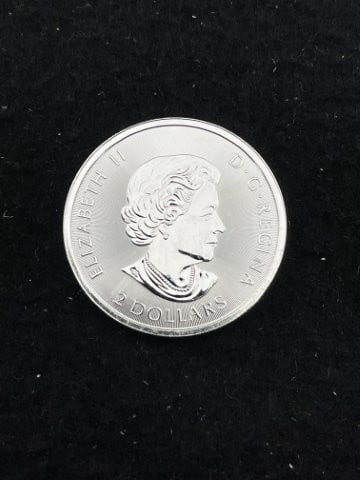 1/2 Ounce .9999 Canadian Fine Silver Round: KEY WORDS: INDIAN ARTIFACT ARTIFACTS ARROWHEAD ARROWHEADS NATIVE AMERICAN MISSISSIPPIAN QUAPAW CADDO POTTERY COINS MORGAN DOLLAR PEACE DOLLAR SILVER COINS. All coins have been Sigma tested for authent