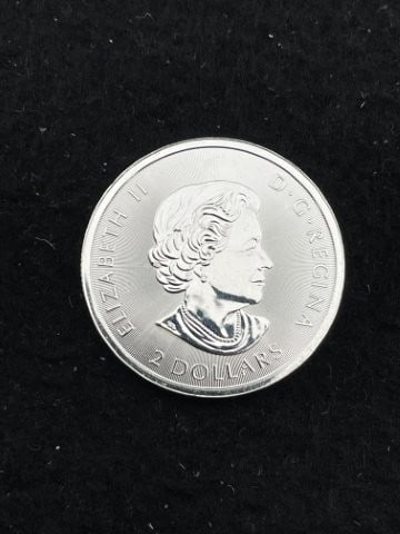 1/2 Ounce .9999 Canadian Fine Silver Round: KEY WORDS: INDIAN ARTIFACT ARTIFACTS ARROWHEAD ARROWHEADS NATIVE AMERICAN MISSISSIPPIAN QUAPAW CADDO POTTERY COINS MORGAN DOLLAR PEACE DOLLAR SILVER COINS. All coins have been Sigma tested for authent
