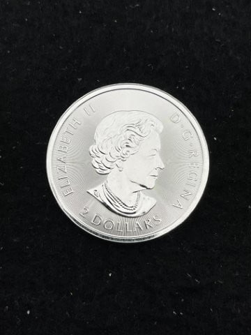 1/2 Ounce .9999 Canadian Fine Silver Round: KEY WORDS: INDIAN ARTIFACT ARTIFACTS ARROWHEAD ARROWHEADS NATIVE AMERICAN MISSISSIPPIAN QUAPAW CADDO POTTERY COINS MORGAN DOLLAR PEACE DOLLAR SILVER COINS. All coins have been Sigma tested for