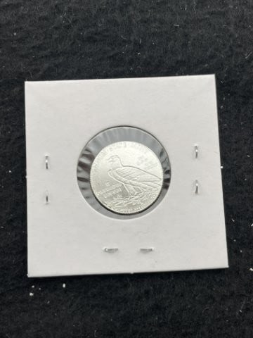 1/10th Fine Silver Coin - 2