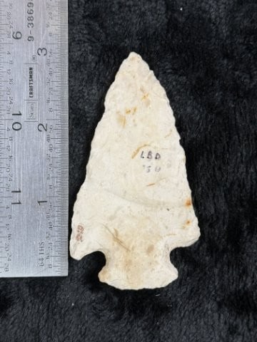 Arrow Point Indian Artifact Arrowhead: KEY WORDS: INDIAN ARTIFACT ARTIFACTS ARROWHEAD ARROWHEADS NATIVE AMERICAN MISSISSIPPIAN QUAPAW CADDO POTTERY COINS MORGAN DOLLAR PEACE DOLLAR SILVER COINS. All coins have been Sigma tested for authent