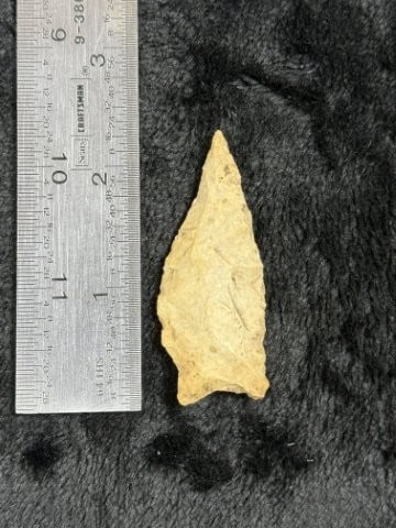 Arrow Point Indian Artifact Arrowhead: KEY WORDS: INDIAN ARTIFACT ARTIFACTS ARROWHEAD ARROWHEADS NATIVE AMERICAN MISSISSIPPIAN QUAPAW CADDO POTTERY COINS MORGAN DOLLAR PEACE DOLLAR SILVER COINS. All coins have been Sigma tested for authent