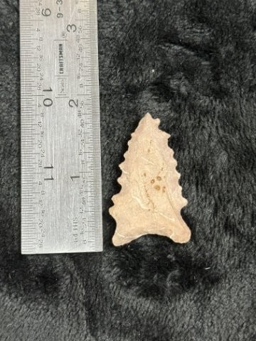 Pine Tree Indian Artifact Arrowhead: KEY WORDS: INDIAN ARTIFACT ARTIFACTS ARROWHEAD ARROWHEADS NATIVE AMERICAN MISSISSIPPIAN QUAPAW CADDO POTTERY COINS MORGAN DOLLAR PEACE DOLLAR SILVER COINS. All coins have been Sigma tested for authent