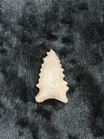 Pine Tree Indian Artifact Arrowhead - 2