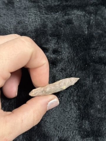 Pine Tree Indian Artifact Arrowhead - 3