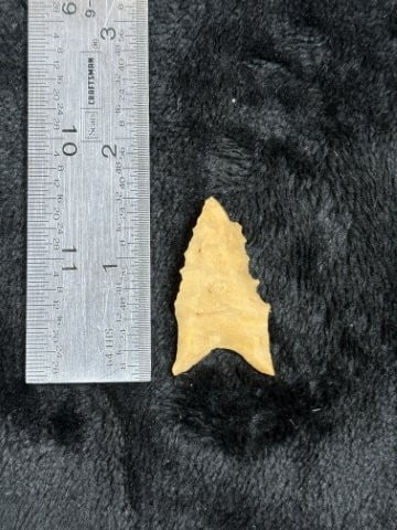 Pine Tree Indian Artifact Arrowhead: KEY WORDS: INDIAN ARTIFACT ARTIFACTS ARROWHEAD ARROWHEADS NATIVE AMERICAN MISSISSIPPIAN QUAPAW CADDO POTTERY COINS MORGAN DOLLAR PEACE DOLLAR SILVER COINS. All coins have been Sigma tested for authent