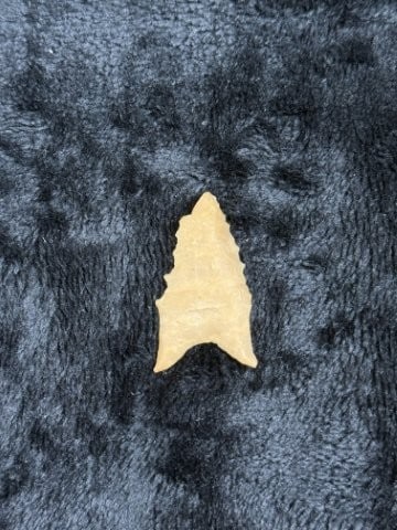 Pine Tree Indian Artifact Arrowhead - 2
