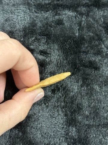 Pine Tree Indian Artifact Arrowhead - 3
