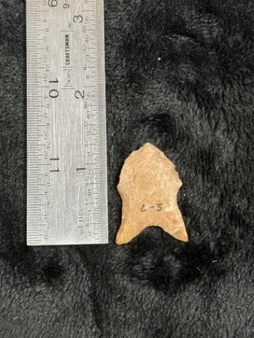 Dalton Indian Artifact Arrowhead: KEY WORDS: INDIAN ARTIFACT ARTIFACTS ARROWHEAD ARROWHEADS NATIVE AMERICAN MISSISSIPPIAN QUAPAW CADDO POTTERY COINS MORGAN DOLLAR PEACE DOLLAR SILVER COINS. All coins have been Sigma tested for authent
