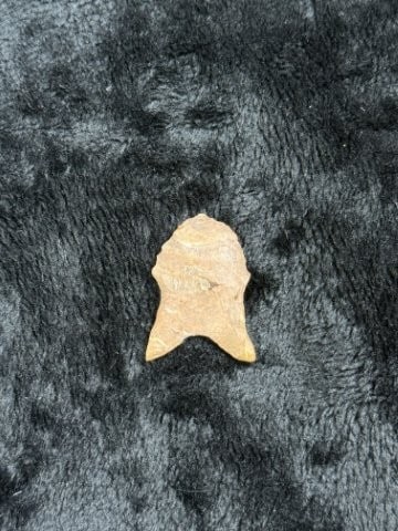 Dalton Indian Artifact Arrowhead - 2