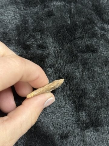 Dalton Indian Artifact Arrowhead - 3