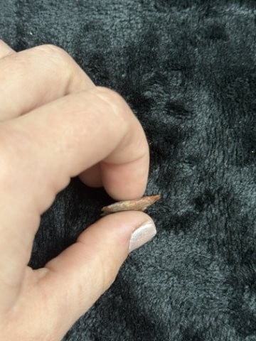 Arrow Point Indian Artifact Arrowhead - 3