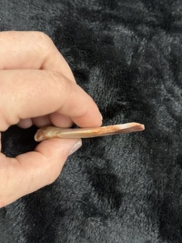Eccentric Indian Artifact Arrowhead - 3