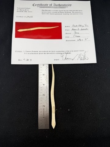 Snake Effigy Pin with Thomas Mathews COA from Mason County, Kentucky Indian Artifact Arrowhead (1 of 8)