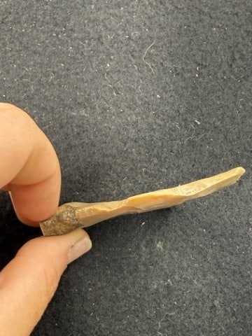 Exotic Indian Artifact Arrowhead - 3