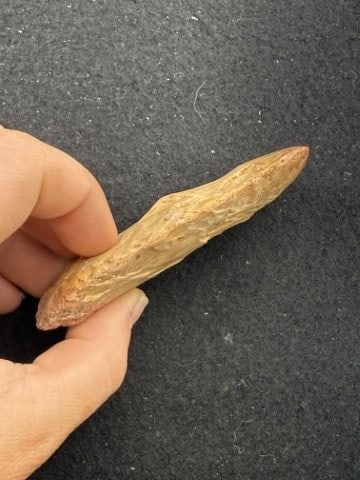 Chipped Celt Indian Artifact Arrowhead - 3
