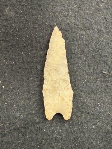 Dalton Indian Artifact Arrowhead - 2
