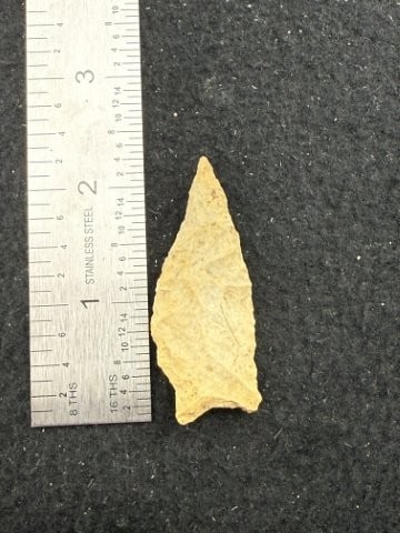 Dalton Indian Artifact Arrowhead (1 of 3)