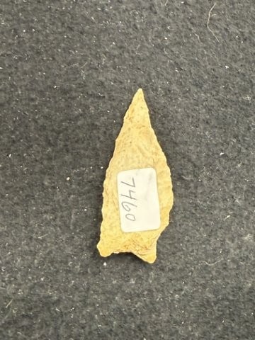 Dalton Indian Artifact Arrowhead - 2