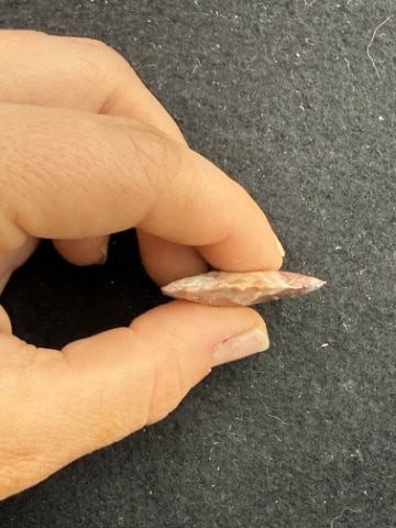 Arrow Point Indian Artifact Arrowhead - 3