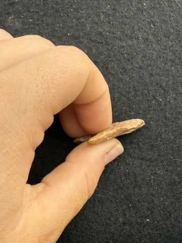 Arrow Point Indian Artifact Arrowhead - 3