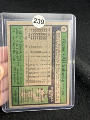 Al Hrabosky Hand Signed Authentic Autograph - 2