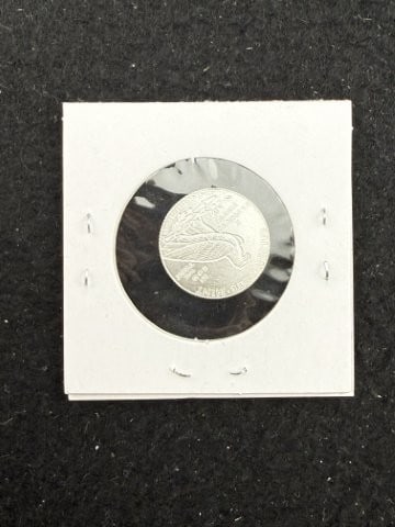 1/10th Fine Silver Coin - 2