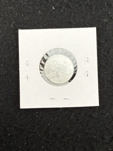 1/10th Fine Silver Coin - 2