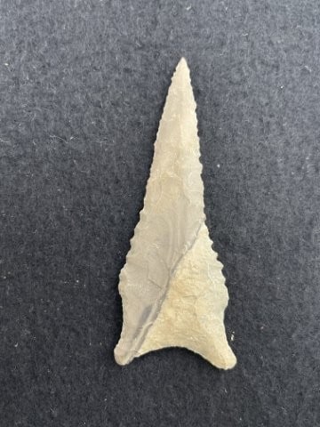 Dalton Indian Artifact Arrowhead - 2
