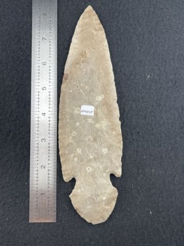 Turkeytail Indian Artifact Arrowhead: KEY WORDS: INDIAN ARTIFACT ARTIFACTS ARROWHEAD ARROWHEADS NATIVE AMERICAN MISSISSIPPIAN QUAPAW CADDO POTTERY COINS MORGAN DOLLAR PEACE DOLLAR SILVER COINS. All coins have been Sigma tested for authent