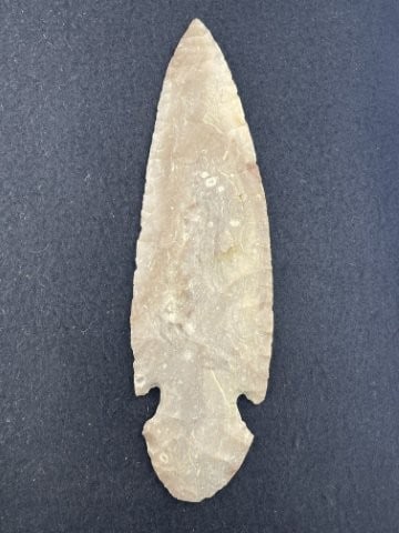 Turkeytail Indian Artifact Arrowhead - 2
