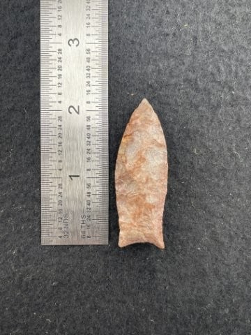 Clovis from Tennessee with Thomas Mathews COA - 2