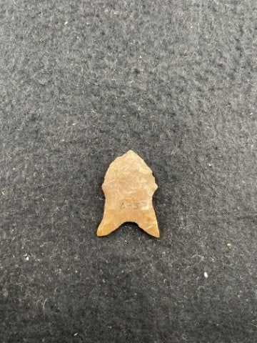 Dalton Indian Artifact Arrowhead - 2