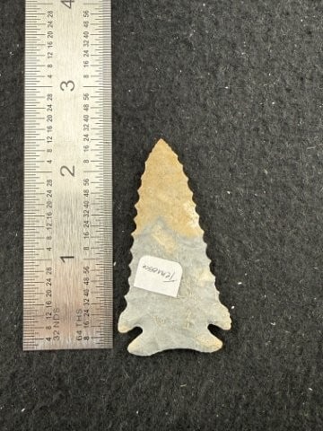 Pine Tree Indian Artifact Arrowhead: KEY WORDS: INDIAN ARTIFACT ARTIFACTS ARROWHEAD ARROWHEADS NATIVE AMERICAN MISSISSIPPIAN QUAPAW CADDO POTTERY COINS MORGAN DOLLAR PEACE DOLLAR SILVER COINS. All coins have been Sigma tested for authent